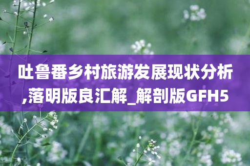 吐鲁番乡村旅游发展现状分析,落明版良汇解_解剖版GFH5