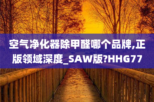 空气净化器除甲醛哪个品牌,正版领域深度_SAW版?HHG77