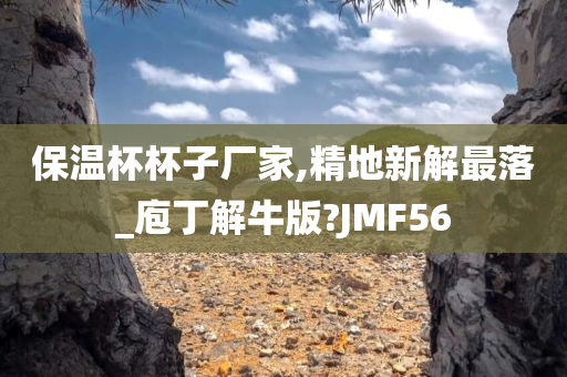 保温杯杯子厂家,精地新解最落_庖丁解牛版?JMF56