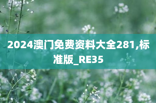 2024澳门免费资料大全281,标准版_RE35