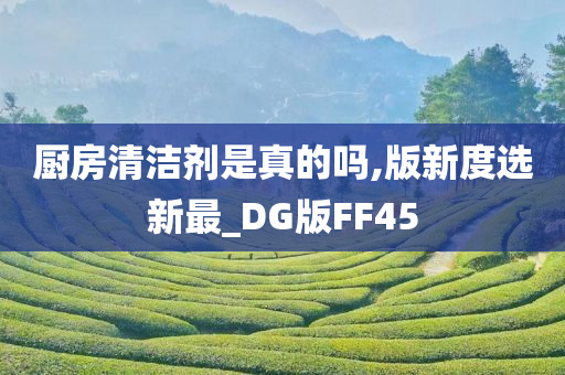 厨房清洁剂是真的吗,版新度选新最_DG版FF45