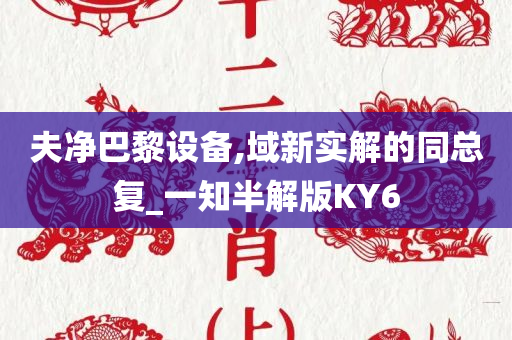 夫净巴黎设备,域新实解的同总复_一知半解版KY6