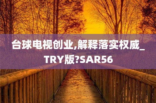 台球电视创业,解释落实权威_TRY版?SAR56