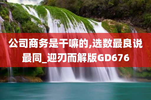 公司商务是干嘛的,选数最良说最同_迎刃而解版GD676