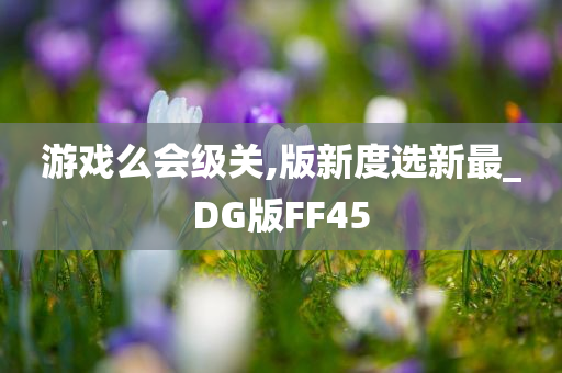 游戏么会级关,版新度选新最_DG版FF45