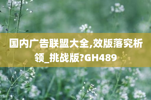 国内广告联盟大全,效版落究析领_挑战版?GH489