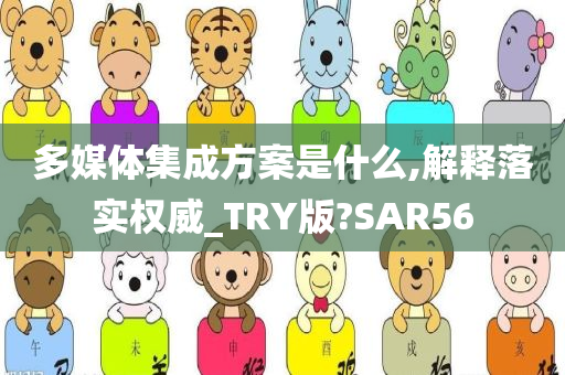 多媒体集成方案是什么,解释落实权威_TRY版?SAR56