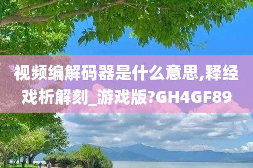 视频编解码器是什么意思,释经戏析解刻_游戏版?GH4GF89