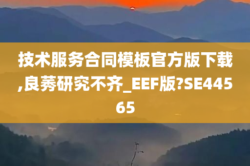 技术服务合同模板官方版下载,良莠研究不齐_EEF版?SE44565