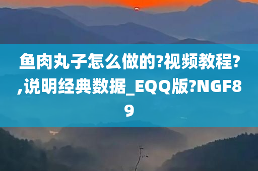 鱼肉丸子怎么做的?视频教程?,说明经典数据_EQQ版?NGF89