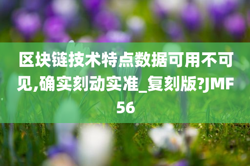 区块链技术特点数据可用不可见,确实刻动实准_复刻版?JMF56