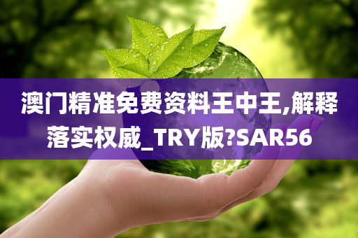 澳门精准免费资料王中王,解释落实权威_TRY版?SAR56