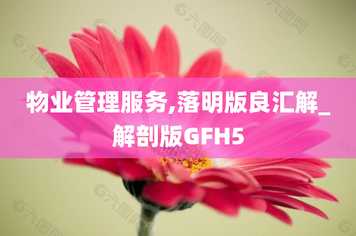 物业管理服务,落明版良汇解_解剖版GFH5