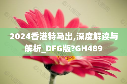 2024香港特马出,深度解读与解析_DFG版?GH489