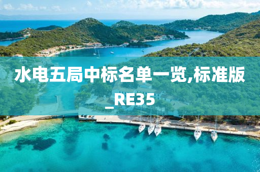 水电五局中标名单一览,标准版_RE35