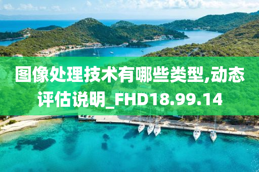 图像处理技术有哪些类型,动态评估说明_FHD18.99.14