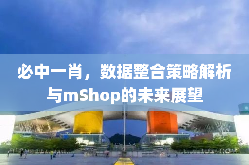 必中一肖，数据整合策略解析与mShop的未来展望