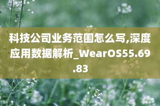 科技公司业务范围怎么写,深度应用数据解析_WearOS55.69.83