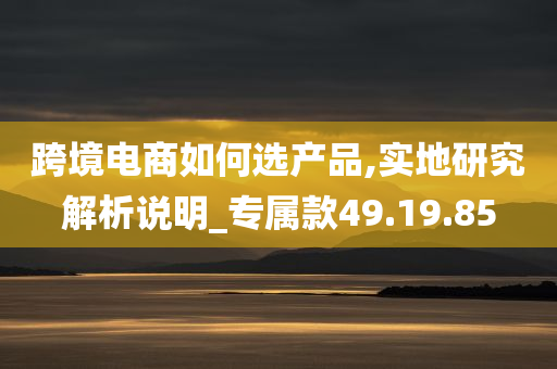 跨境电商如何选产品,实地研究解析说明_专属款49.19.85