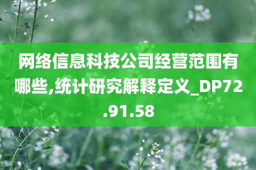 网络信息科技公司经营范围有哪些,统计研究解释定义_DP72.91.58