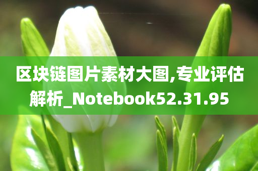 区块链图片素材大图,专业评估解析_Notebook52.31.95