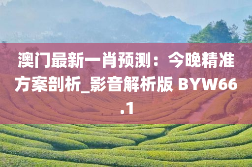 澳门最新一肖预测：今晚精准方案剖析_影音解析版 BYW66.1