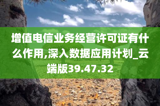 增值电信业务经营许可证有什么作用,深入数据应用计划_云端版39.47.32