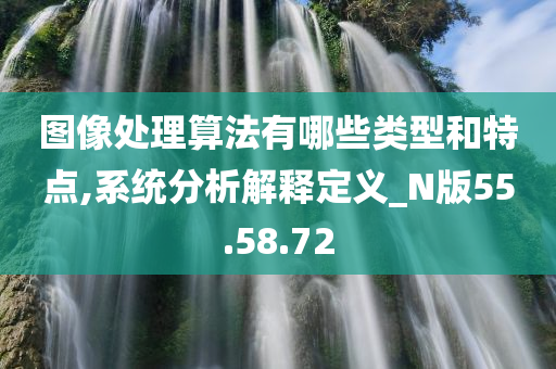 图像处理算法有哪些类型和特点,系统分析解释定义_N版55.58.72