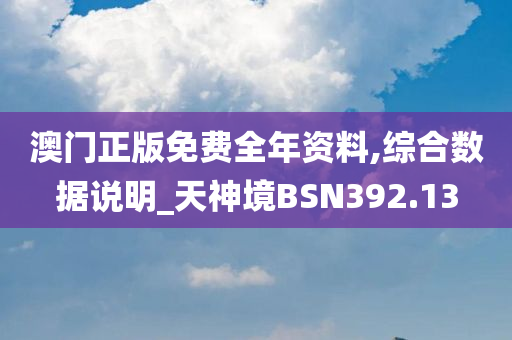 澳门正版免费全年资料,综合数据说明_天神境BSN392.13