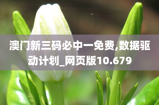 澳门新三码必中一免费,数据驱动计划_网页版10.679