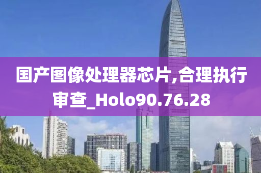 国产图像处理器芯片,合理执行审查_Holo90.76.28