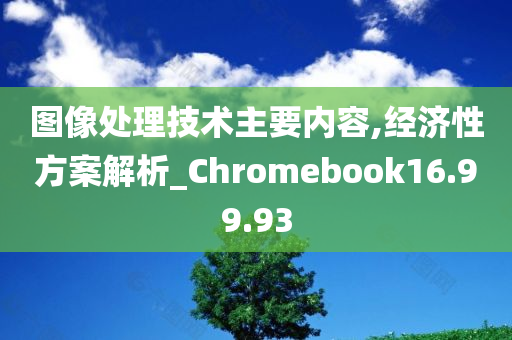 图像处理技术主要内容,经济性方案解析_Chromebook16.99.93