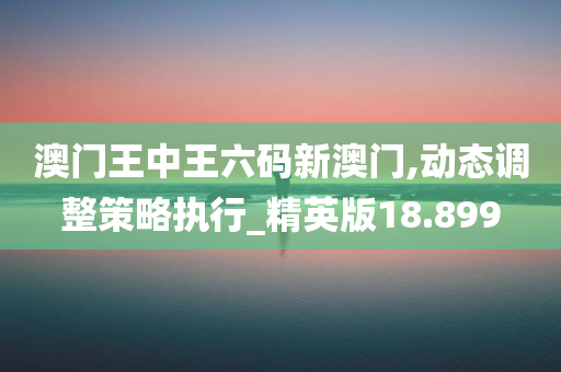 澳门王中王六码新澳门,动态调整策略执行_精英版18.899