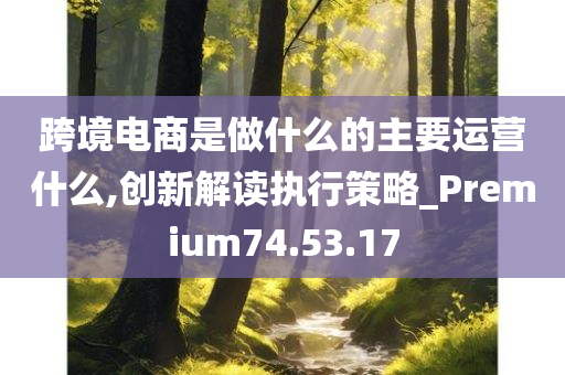 跨境电商是做什么的主要运营什么,创新解读执行策略_Premium74.53.17