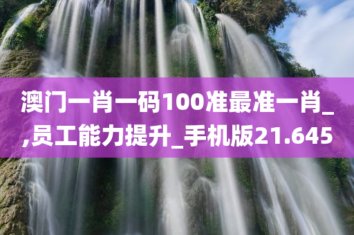 澳门一肖一码100准最准一肖_,员工能力提升_手机版21.645