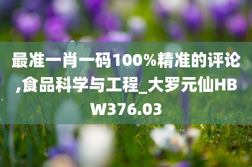 最准一肖一码100%精准的评论,食品科学与工程_大罗元仙HBW376.03