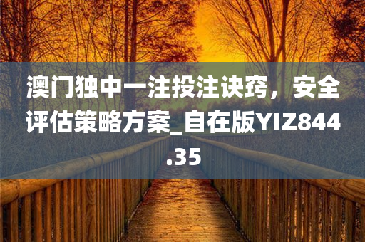 澳门独中一注投注诀窍，安全评估策略方案_自在版YIZ844.35