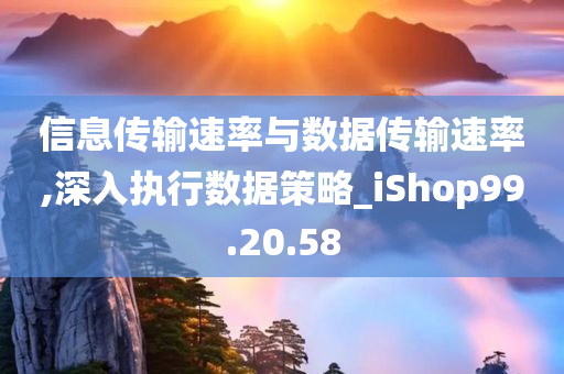 信息传输速率与数据传输速率,深入执行数据策略_iShop99.20.58