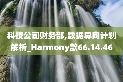 科技公司财务部,数据导向计划解析_Harmony款66.14.46