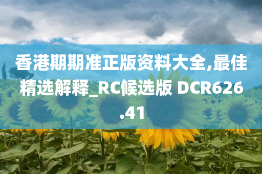 香港期期准正版资料大全,最佳精选解释_RC候选版 DCR626.41