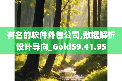 有名的软件外包公司,数据解析设计导向_Gold59.41.95