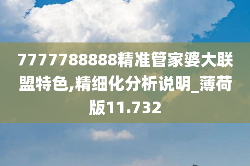 7777788888精准管家婆大联盟特色,精细化分析说明_薄荷版11.732