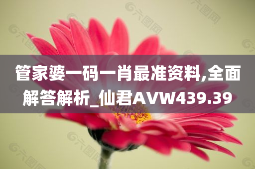 管家婆一码一肖最准资料,全面解答解析_仙君AVW439.39