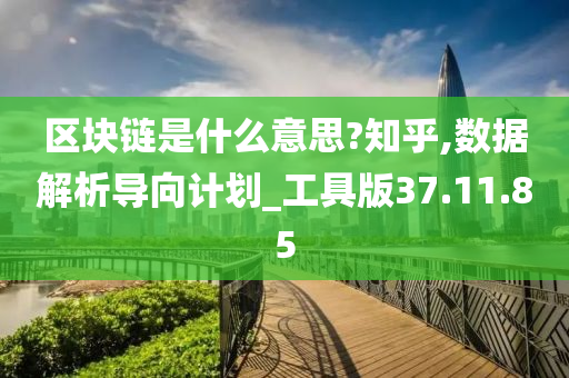 区块链是什么意思?知乎,数据解析导向计划_工具版37.11.85