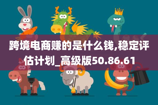 跨境电商赚的是什么钱,稳定评估计划_高级版50.86.61