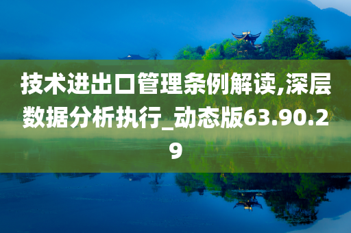 技术进出口管理条例解读,深层数据分析执行_动态版63.90.29