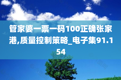 管家婆一票一码100正确张家港,质量控制策略_电子集91.154