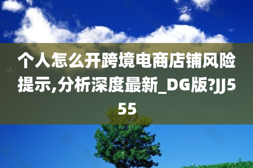 个人怎么开跨境电商店铺风险提示,分析深度最新_DG版?JJ555