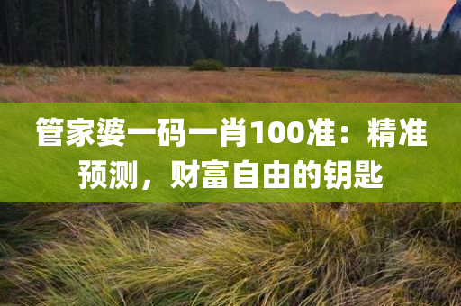 管家婆一码一肖100准：精准预测，财富自由的钥匙