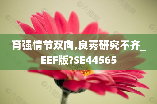 育强情节双向,良莠研究不齐_EEF版?SE44565